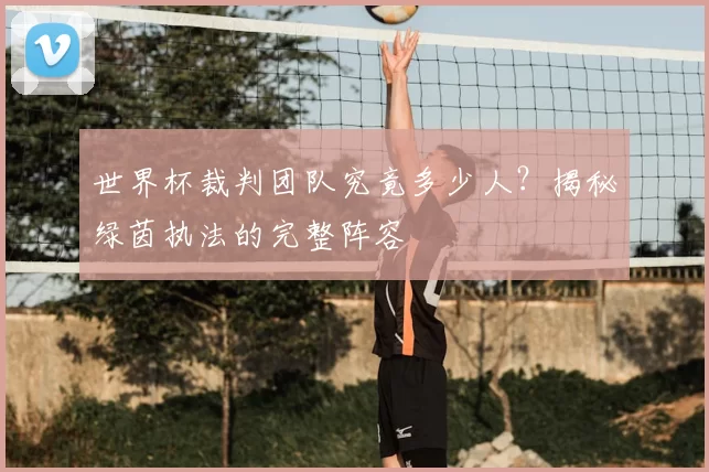 世界杯裁判团队究竟多少人?揭秘绿茵执法的完整阵容