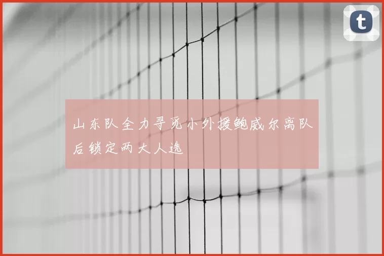 山东队全力寻觅小外援鲍威尔离队后锁定两大人选