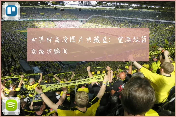 世界杯高清图片典藏蓝:重温绿茵场经典瞬间