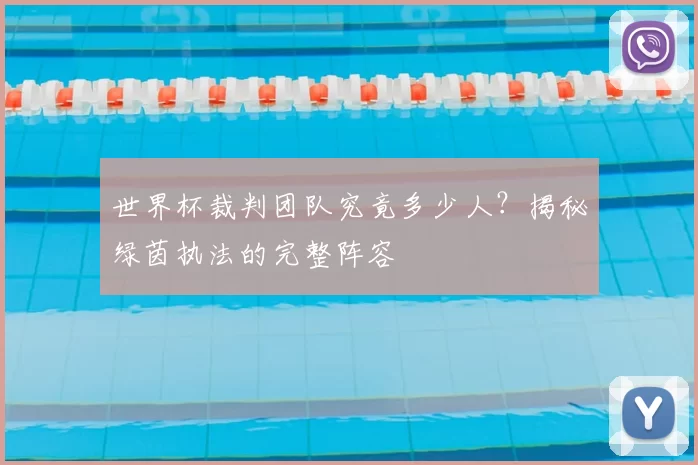 世界杯裁判团队究竟多少人?揭秘绿茵执法的完整阵容