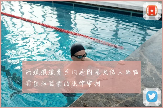 西媒报道费兰门迪因恶犬伤人面临罚款和监禁的法律审判